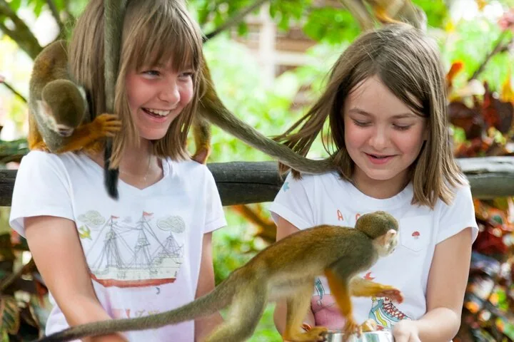Monkeyland, Ziplines & Coconut House
