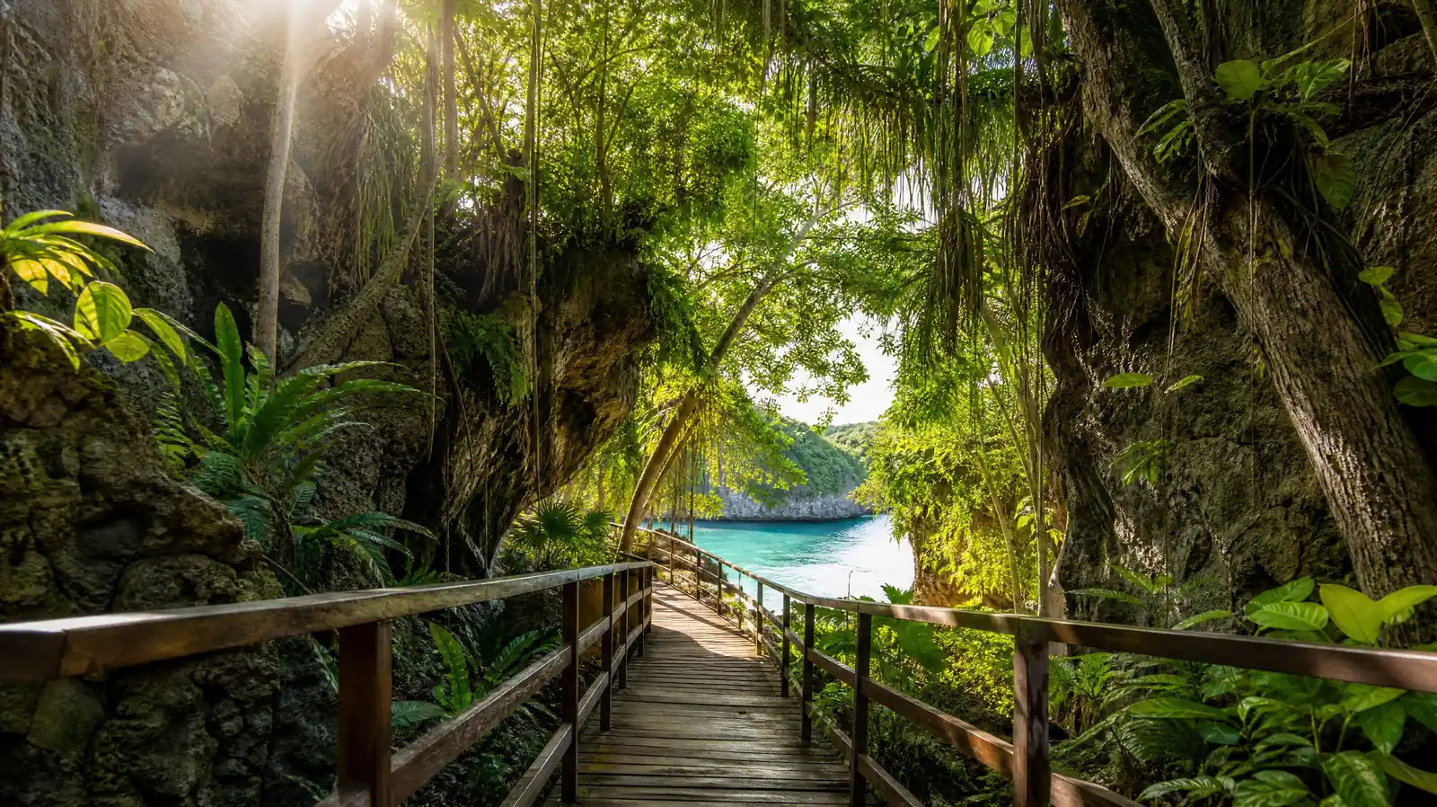 A wooden boardwalk through tropical jungle toward turquoise water