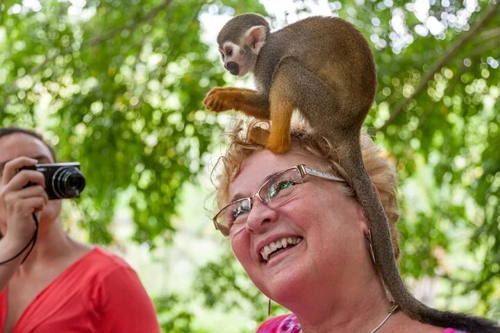 Monkeyland, Ziplines & Coconut House