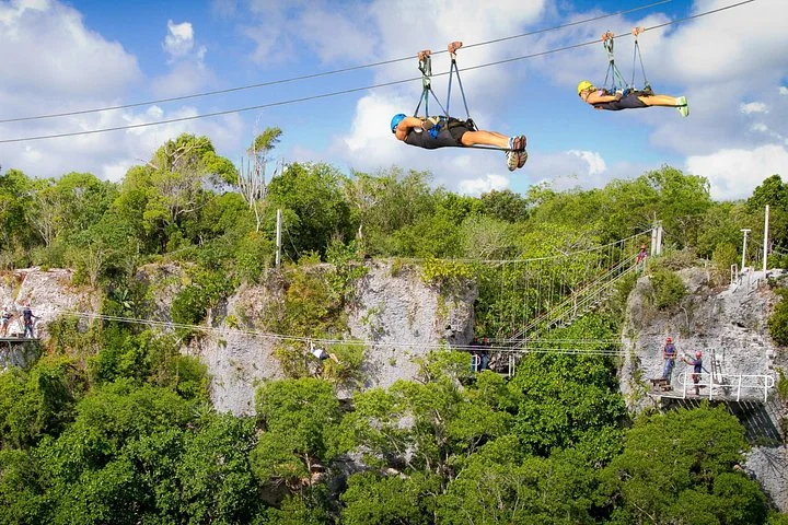 Riders on a zipline over the jungle